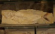  alte Fische